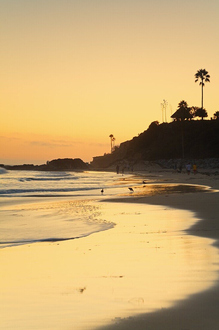 Laguna Beach, Orange County, California, United States of America, North America