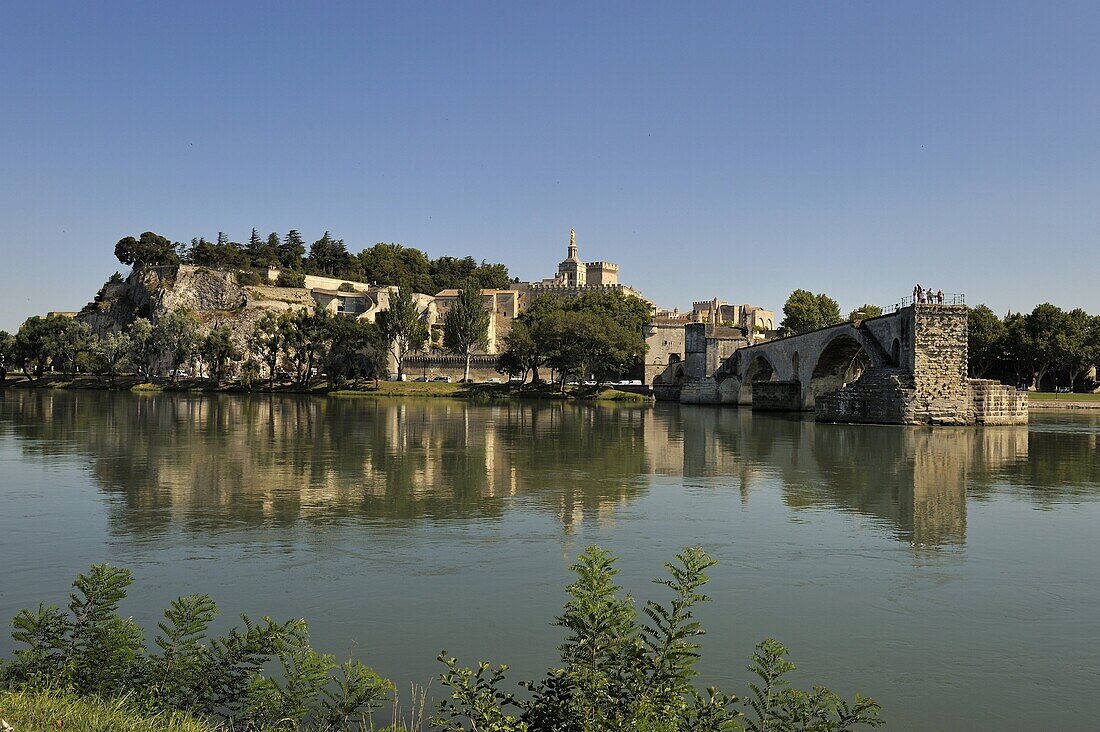 Pont Saint-Benezet and Avignon city viewed from across the River Rhone, Avignon, Provence, France, Europe