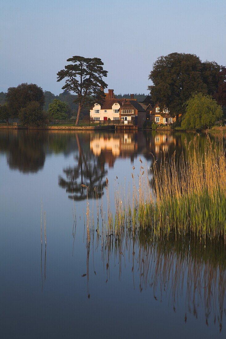 Early evening sunshine across the water at Beaulieu, New Forest, Hampshire, England, United Kingdom, Europe