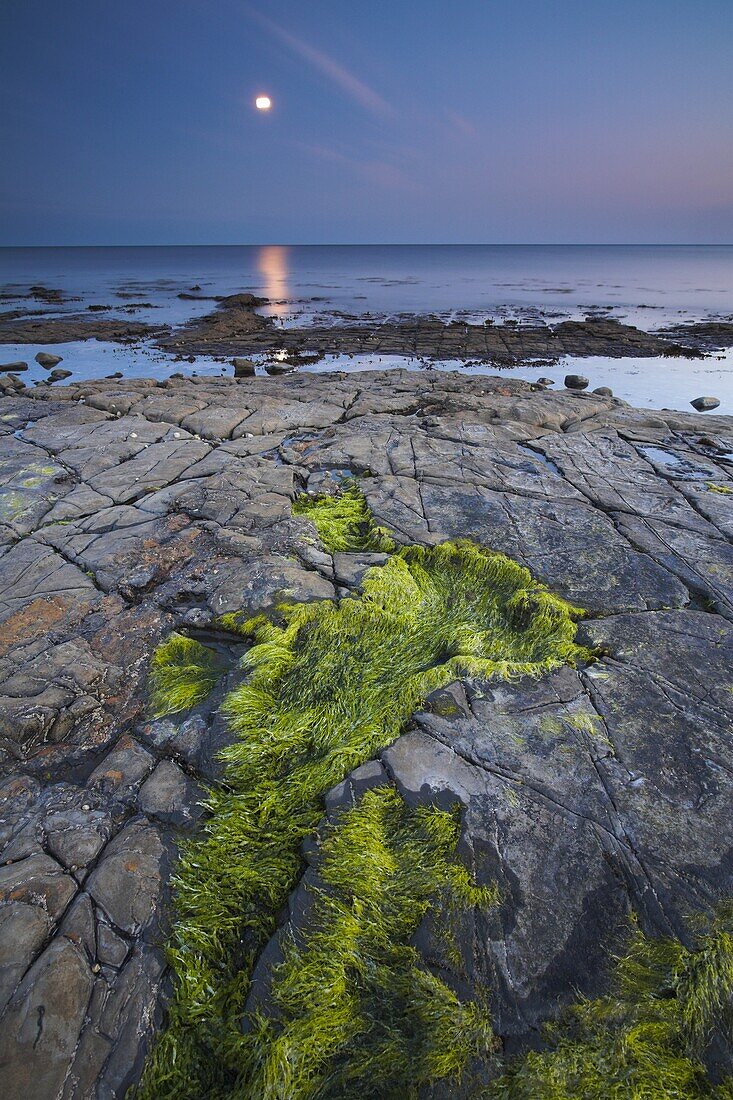 Moon glow over Kimmeridge Bay on the Jurassic Coast, UNESCO World Heritage Site, Dorset, England, United Kingdom, Europe