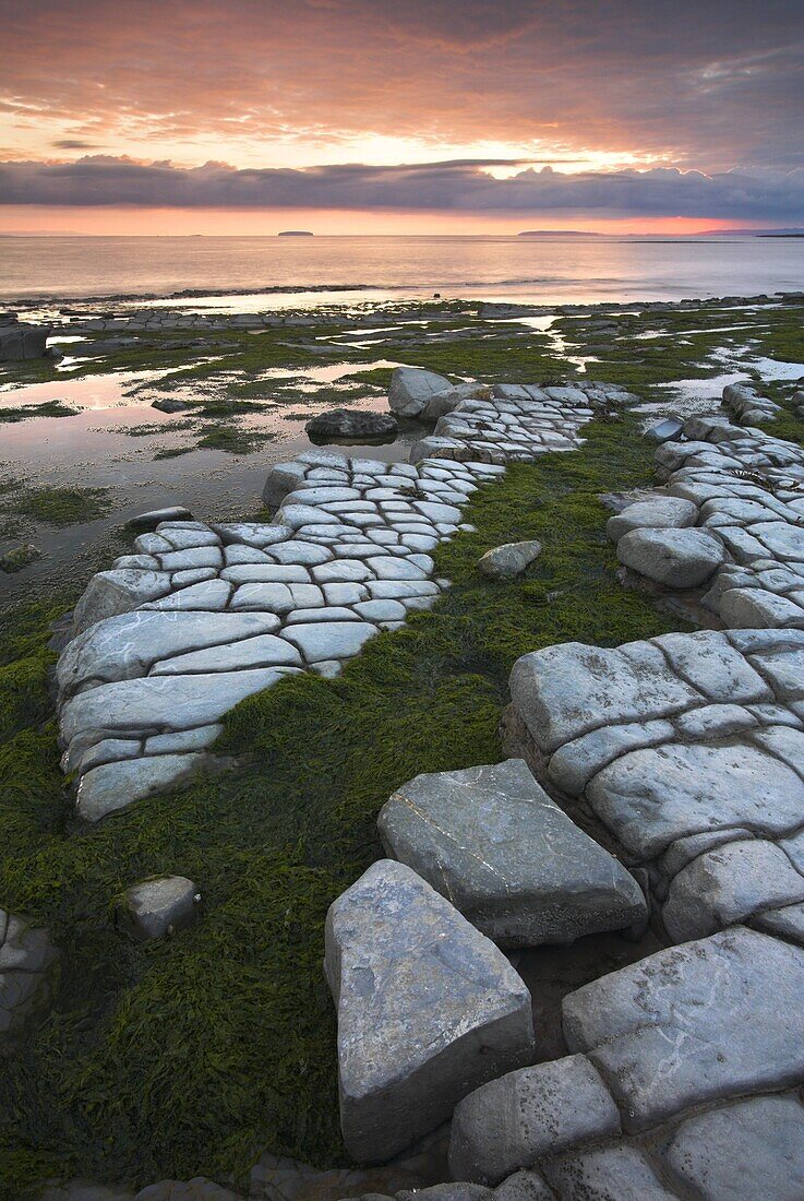 Wave cut limestone ledges on the coastline, Kilve, Somerset, England, United Kingdom, Europe
