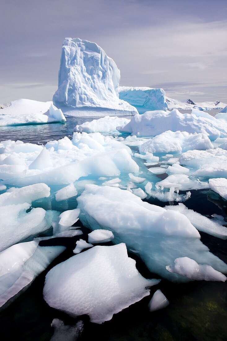 Icebergs close to shore in Paradise Harbour, Antarctic Peninsula, Antarctica, Polar Regions