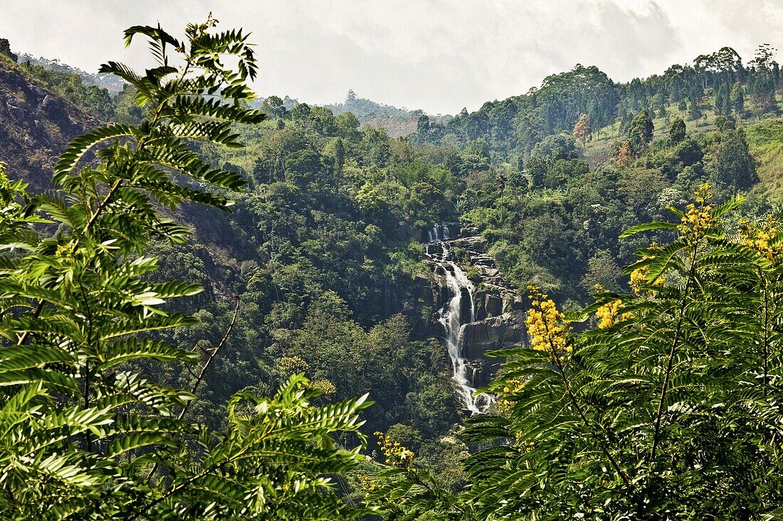 Little Rawana (Ravana) Falls en route to Ella Rock, the upper level of the popular falls in Ella Gap below, Ella, Sri Lanka, Asia