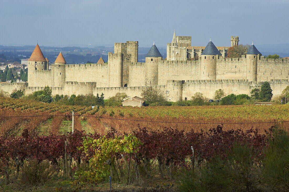 Medieval city of Carcassonne, UNESCO World Heritage Site, Aude, Languedoc-Roussillon, France, Europe