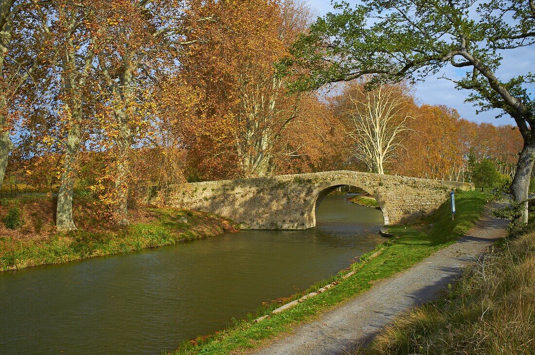 Yellow and red leaves in autumn and old bridge along the Canal du Midi, UNESCO World Heritage Site, Aude, Languedoc-Roussillon, France, Europe