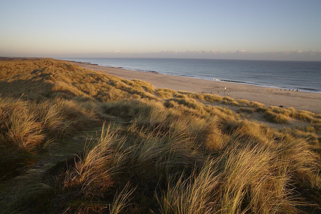 The dunes on a winter morning at Winterton on Sea, Norfolk, England, United Kingdom, Europe