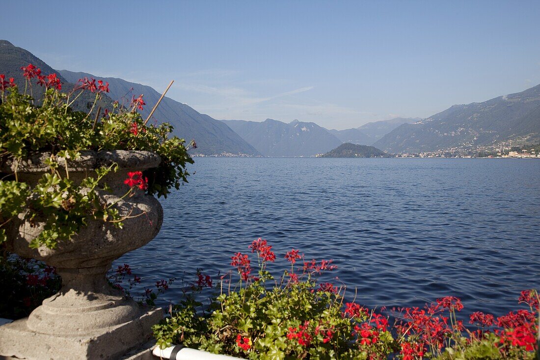 Red geraniums and lake, Bellagio, Lake Como, Lombardy, Italian Lakes, Italy, Europe