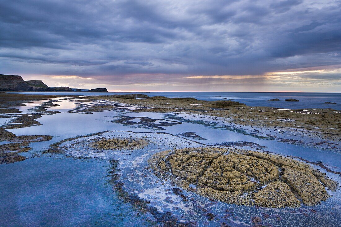 Rock formations on the shale shelf at Saltwick Bay, with stormy clouds and rain showers in the distance, North Yorkshire, Yorkshire, England, United Kingdom, Europe