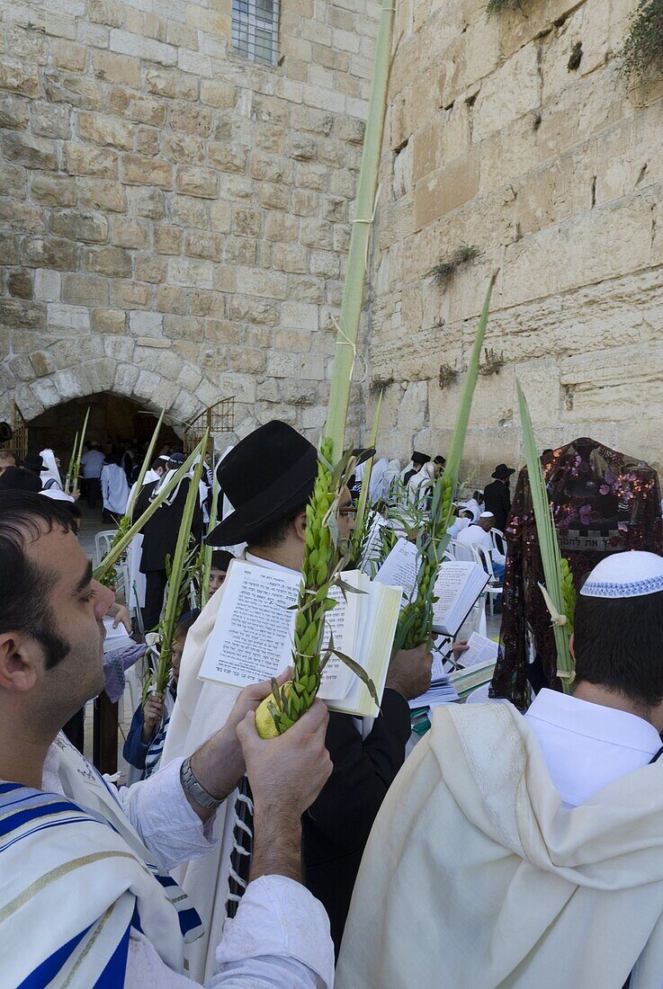 Sukkot celebrations with Lulav, Western Wall, Old City, Jerusalem, Israel, Middle East