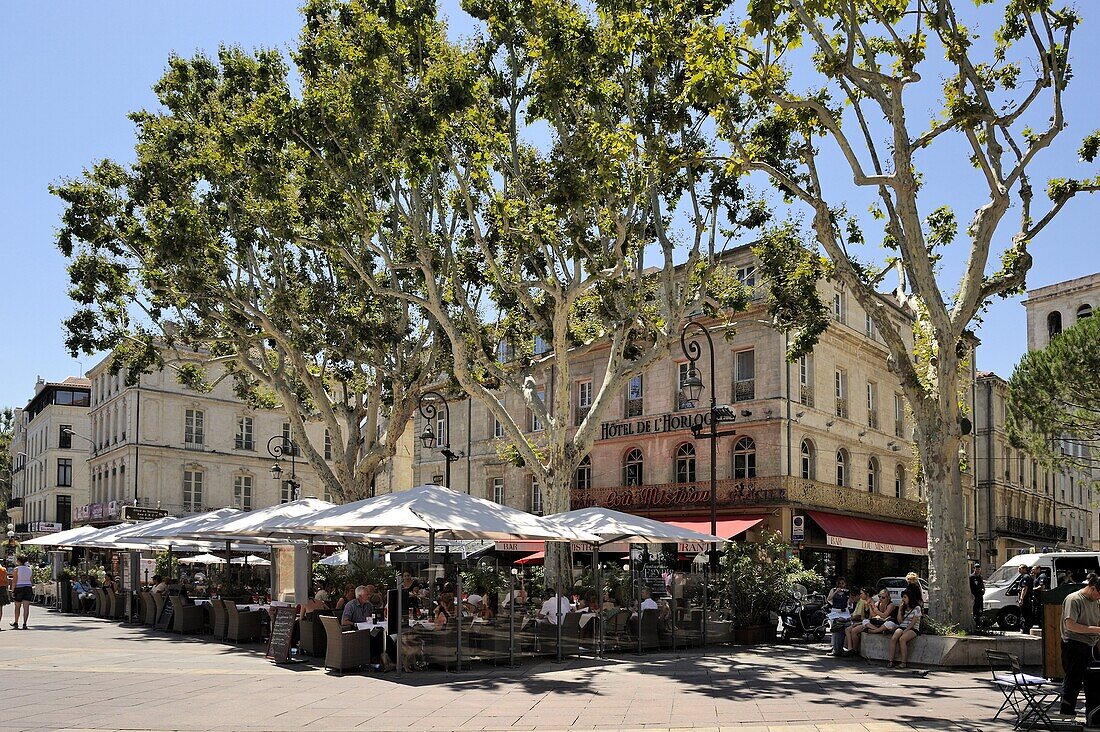 Alfresco restaurants Place de L'Horloge, Avignon, Provence, France, Europe