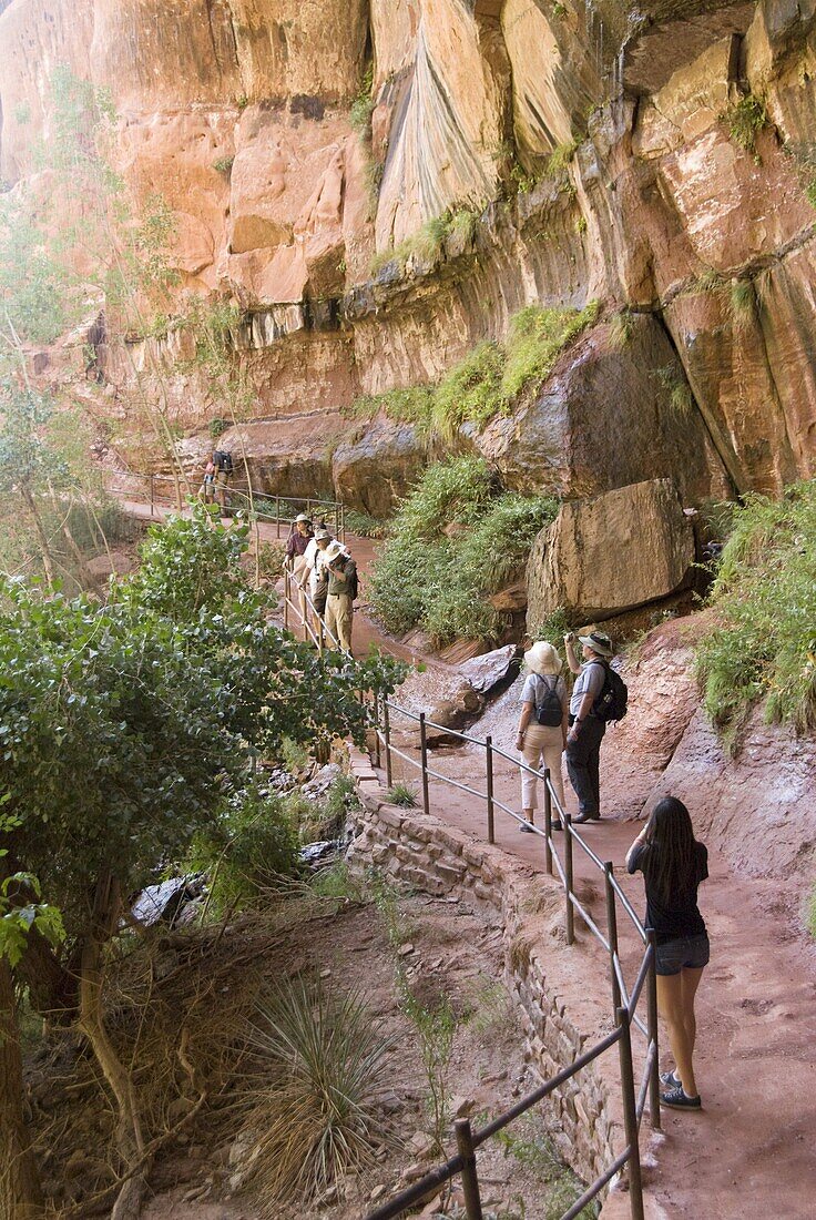 Lower Emerald Pool, Zion National Park, Utah, United States of America, North America