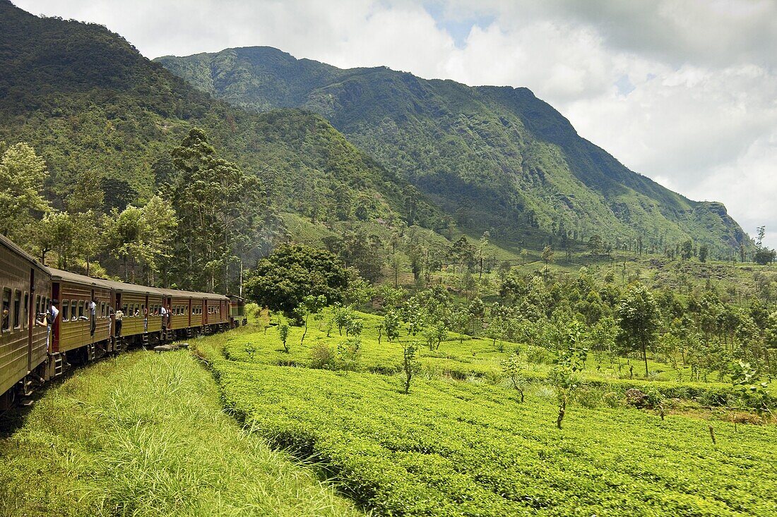 The scenic train ride through the Central Highlands, with its mountains and tea plantations, near Nuwara Eliya, Sri Lanka, Asia