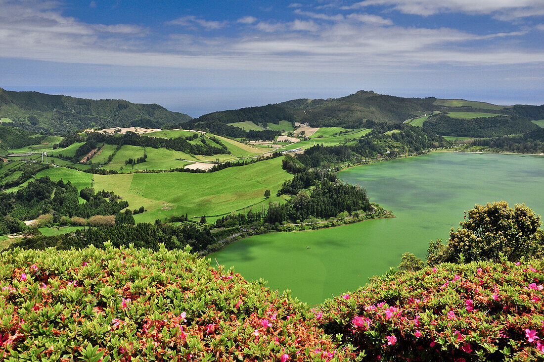 Grüner Kratersee Lagoa das Furnas, Furnas-See, Caldeira, umgeben von Blumen und Terrassenfelder, Aussichtspunkt Pico do Ferro, Furnas, Povocao, Insel Sao Miguel, Azoren, Portugal, Europa, Atlantik