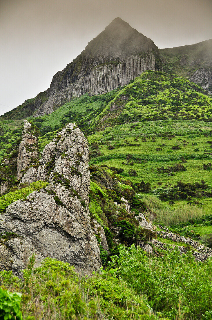 Vulkanischer Basaltberg Rocha dos Bordões im Hochland im Nebel, zwischen Faja Grande und Fajazinha, Insel Flores, Azoren, Portugal, Europa, Atlantik