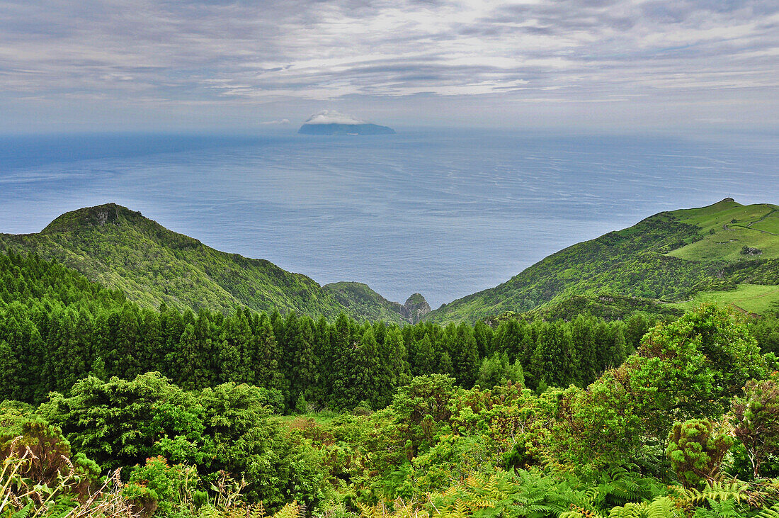 Blick über Steilküste mit subtropischer Vegatation und Lorbeerwald auf Meer und Insel Corvo, Hochland, Insel Flores, Azoren, Portugal, Europa, Atlantik