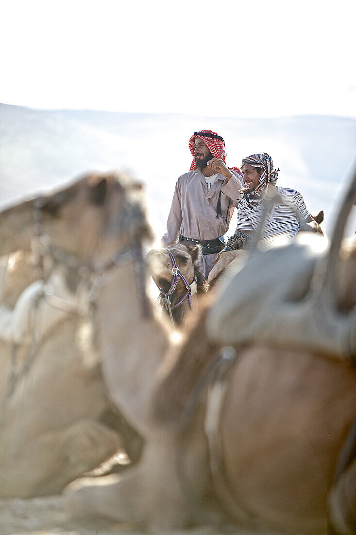 Two bedouins watching over their dromedaries in the desert, Negev, Israel