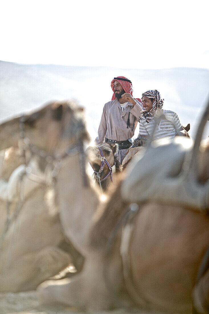 Zwei Beduinen passen auf ihre Dromedare in der Wüste auf, Negev, Israel
