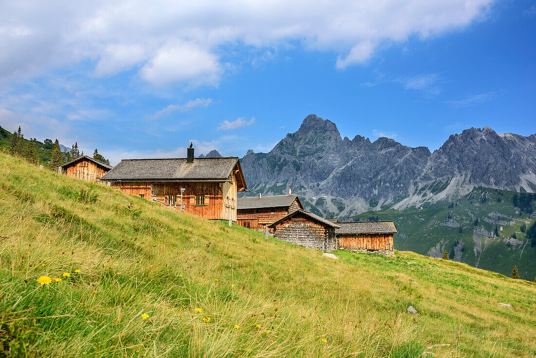 Almen vor Zimba und Vandanser Steinwand, Rätikon, Vorarlberg, Österreich