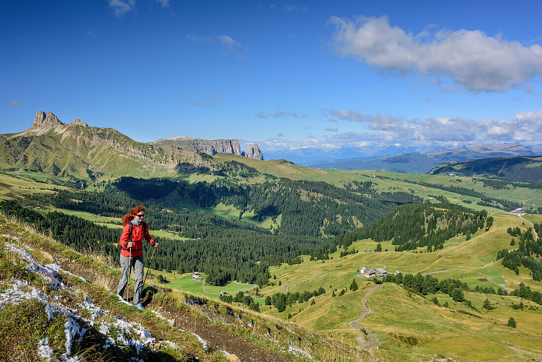Woman hiking with Schlern and Seiseralm in background, Friedrich-August-Weg, Langkofel group, Dolomites, UNESCO World Heritage Dolomites, Trentino, Italy