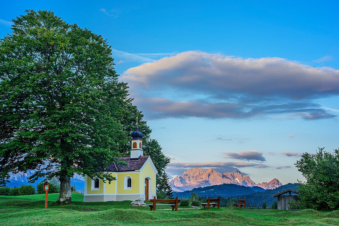 Chapel and tree in front of Wetterstein range with Alpspitze and Zugspitze, Werdenfelser Land, Karwendel range, Upper Bavaria, Bavaria, Germany