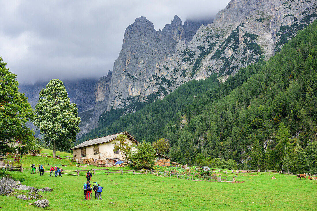 Mehrere Wanderer wandern zu Alm, Val Canali, Pala, Dolomiten, UNESCO Weltnaturerbe Dolomiten, Trentino, Italien