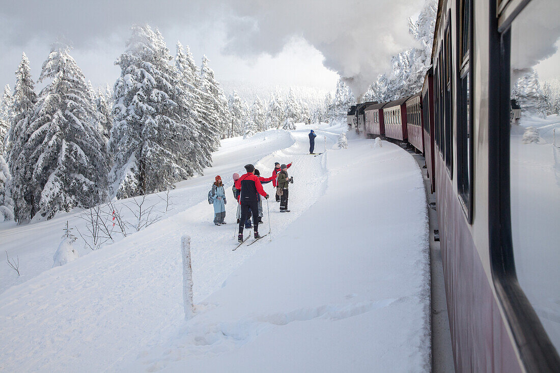 steam engine, train from window, winter snow, narrow guage, skiers, Harz Mountains, Lower Saxony, Germany