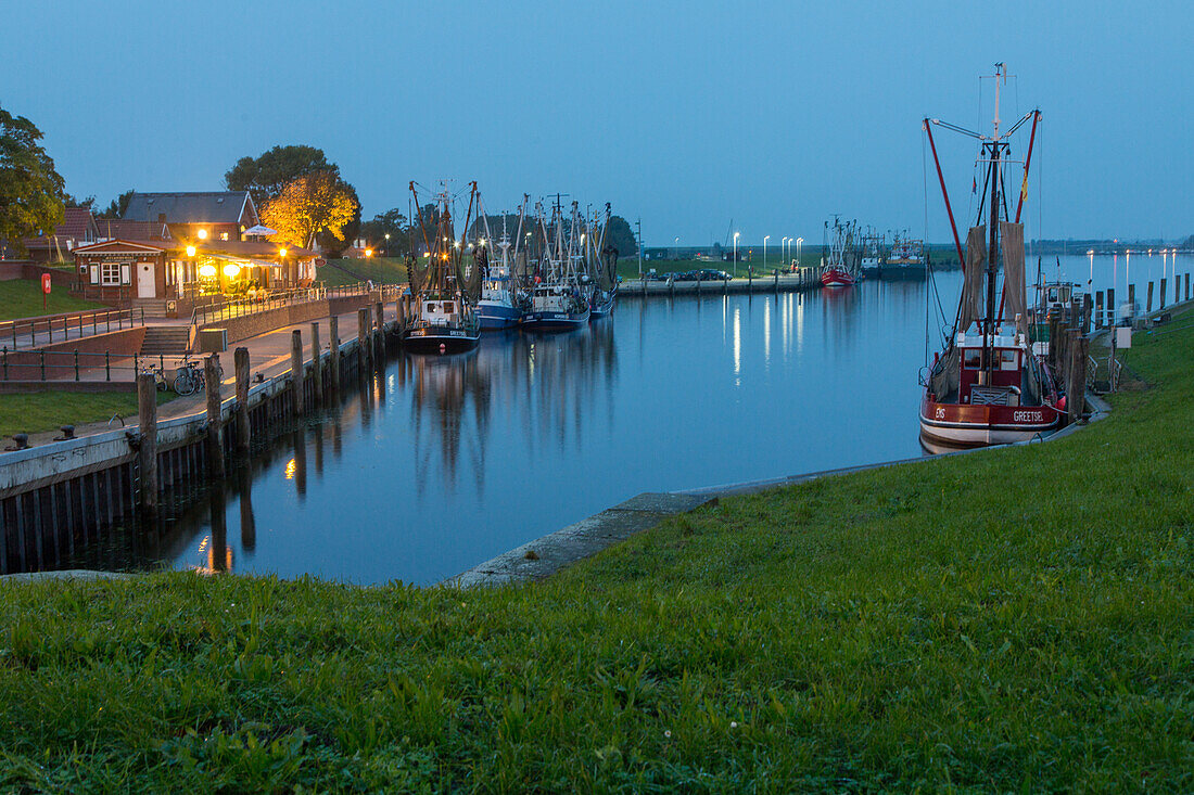 Greetsiel, Leybucht, East Frisian coast, shrimp fishing boats in evening light, Lower Saxony, Germany