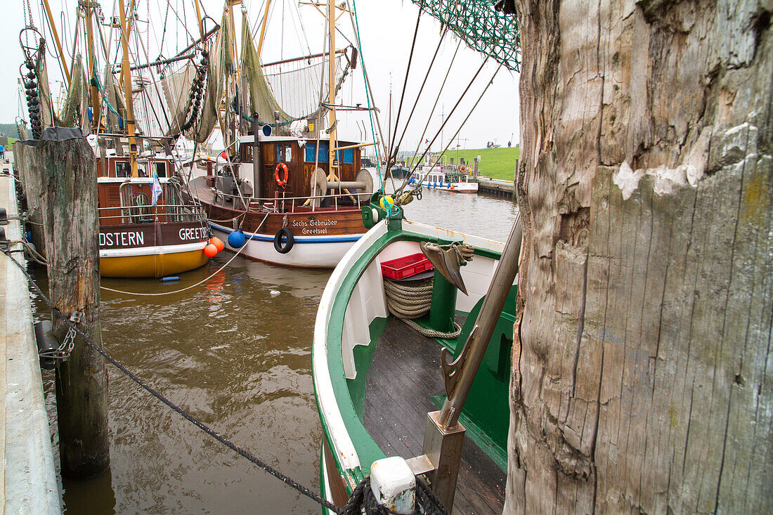 shrimp fishing boats, Greetsiel, Leybucht, East Frisian coast, Lower Saxony, Germany