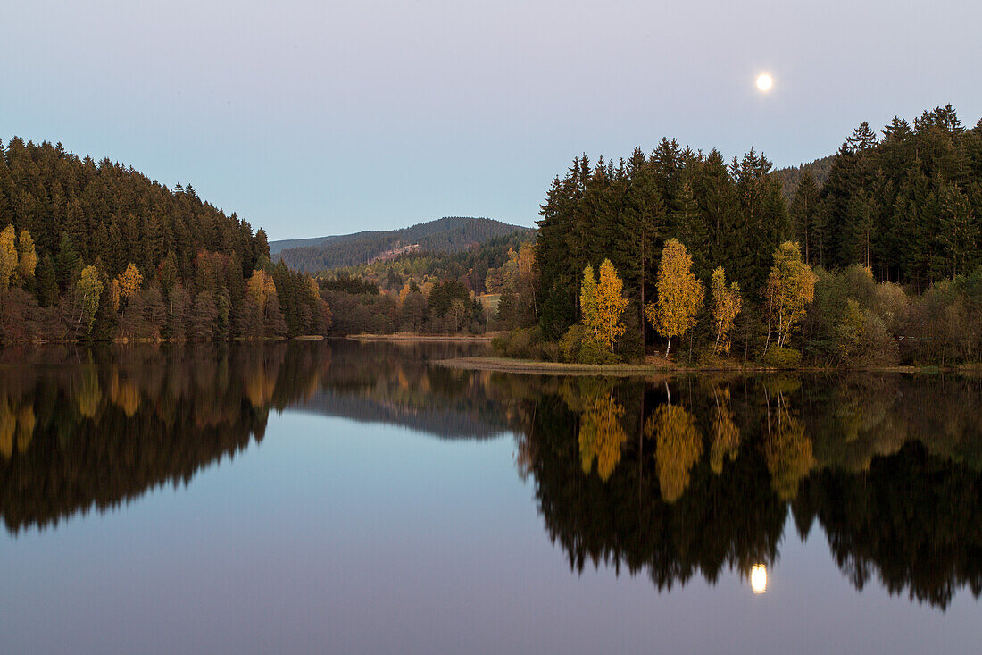autumn colours evening, reservoir, moon, Sachsen-Anhalt, Germany