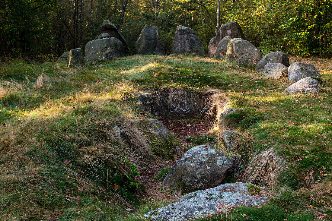 Visbek, megalithic chambered tomb, near Wildeshausen, Lower Saxony, Northern, Germany