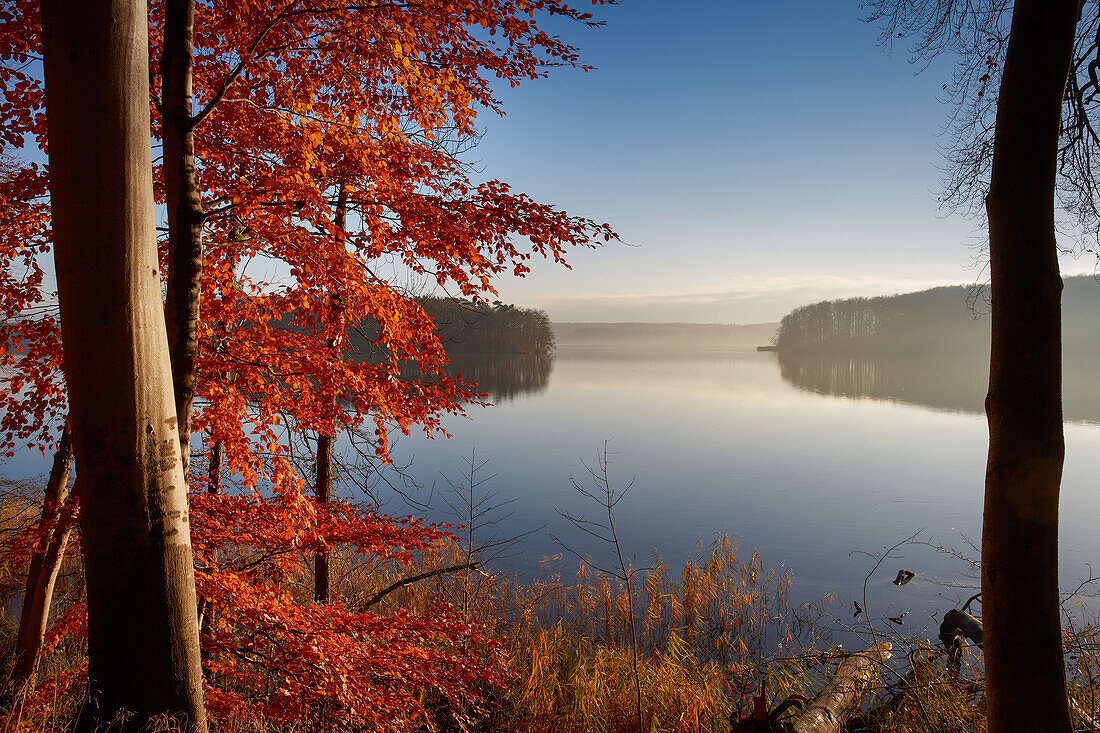 Pinnower See im Herbst bei Schwerin, Mecklenburg Vorpommern, Deutschland