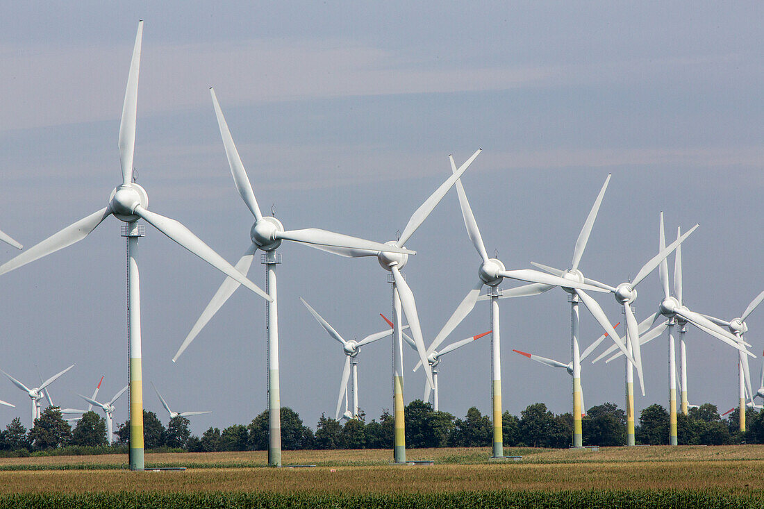 Windpark Cuxhaven, Windkraftanlagen, Landwirtschaft, Niedersachsen, Deutschland