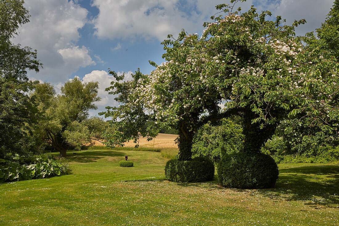 Rosengarten bei Rehna, Mecklenburg-Vorpommern, Deutschland