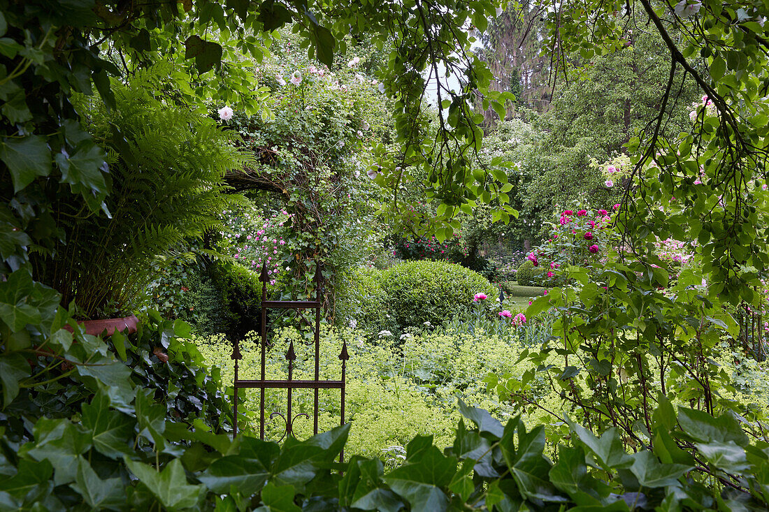 Rosengarten bei Rehna, Mecklenburg Vorpommern, Deutschland