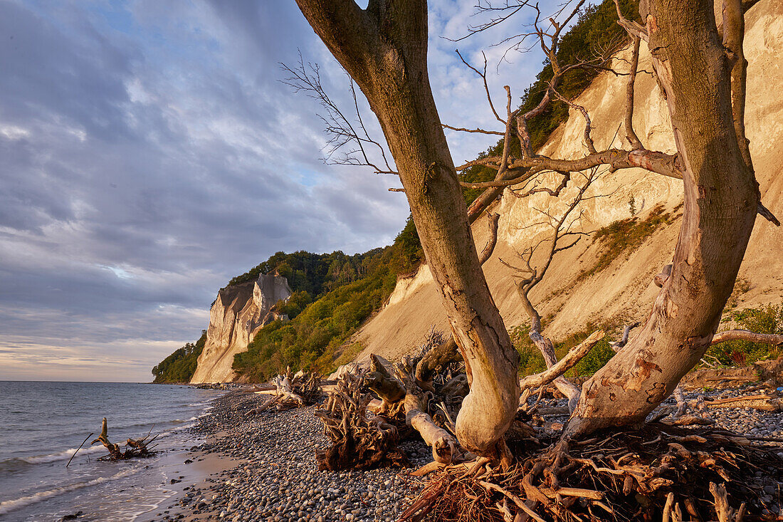 Chalk cliffs on Mon Island, Denmark