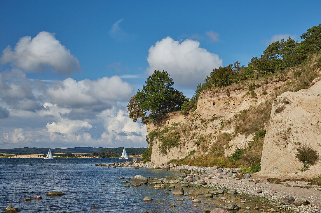 Steilküste am Reddevitzer Höft, Mönchgut, Insel Rügen, Mecklenburg Vorpommern, Deutschland