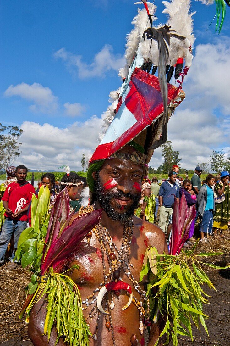 Colourfully dressed and face painted local tribesman celebrating the traditional Sing Sing in the Highlands, Papua New Guinea, Pacific