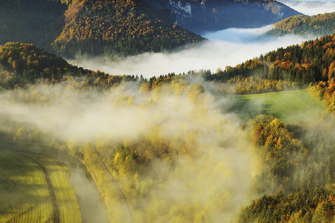 View from Eichfelsen of the Donautal (Danube Valley), near Beuron, Baden-Wurttemberg, Germany, Europe