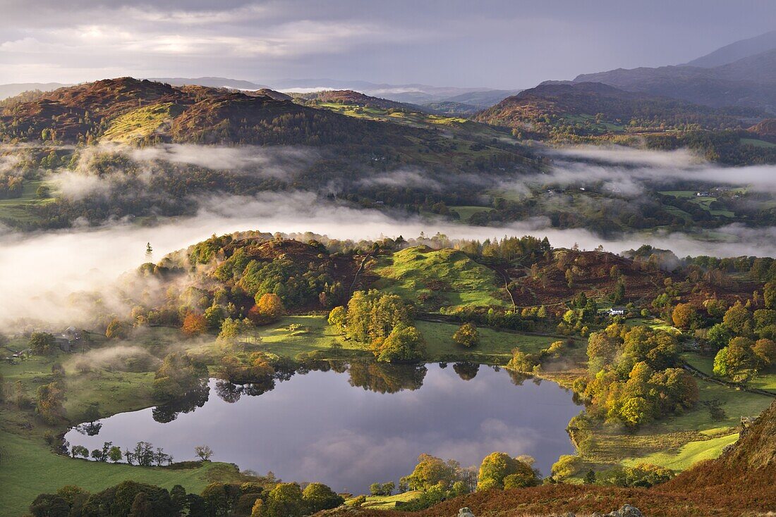 Loughrigg Tarn surrounded by misty autumnal countryside, Lake District National Park, Cumbria, England, United Kingdom, Europe