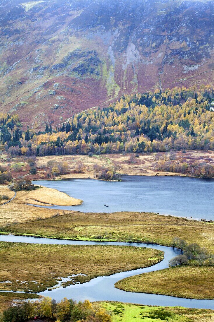 Derwentwater and the Slopes of Catbells in autumn from Surprise View in Ashness Woods near Grange, Lake District National Park, Cumbria, England, United Kingdom, Europe