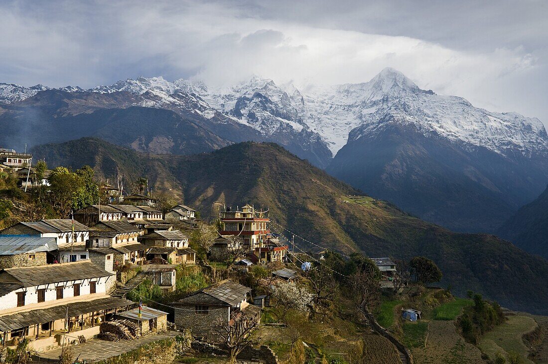 Ghandruk, 1990 metres, Annapurna Himal, Nepal, Himalayas, Asia