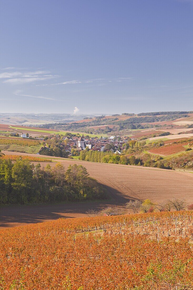 The village of Chitry-le-Fort in Burgundy, France, Europe