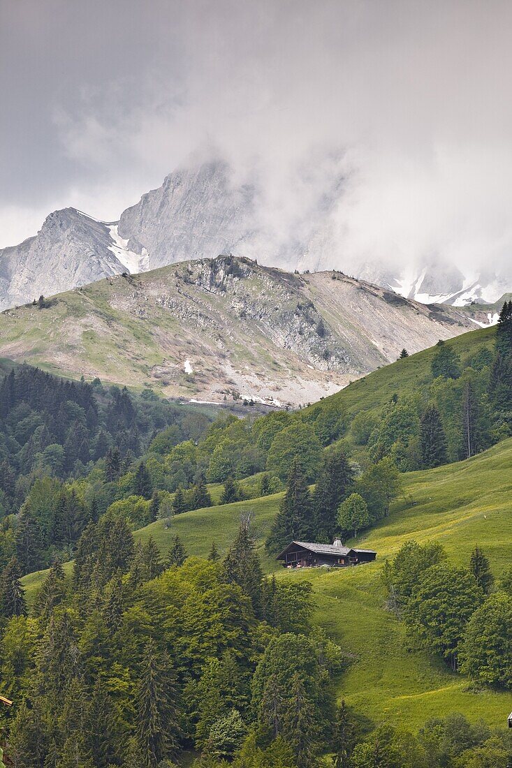 A typical house in the mountains, Haute-Savoie, France, Europe