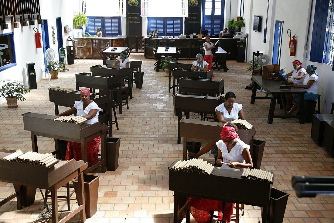 Women making cigars at the Dannemann factory in Sao Felix, Bahia, Brazil, South America