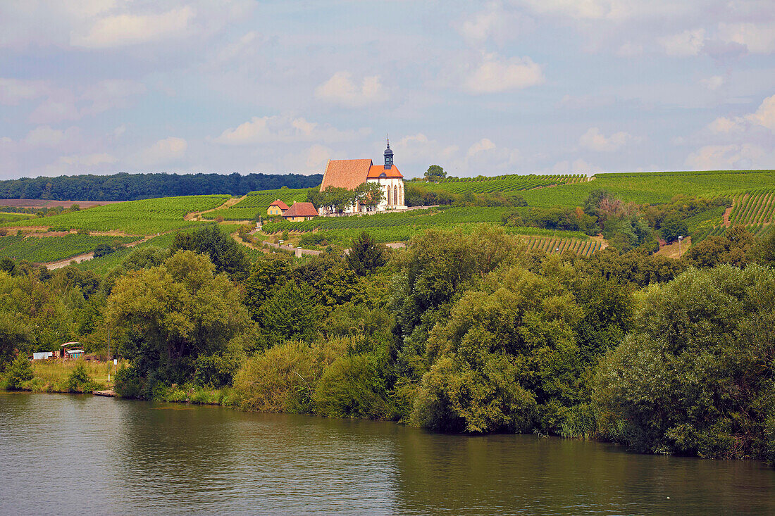View along the river Main with St. Maria im Weingarten chapel, Summer, Unterfranken, Bavaria, Germany, Europe