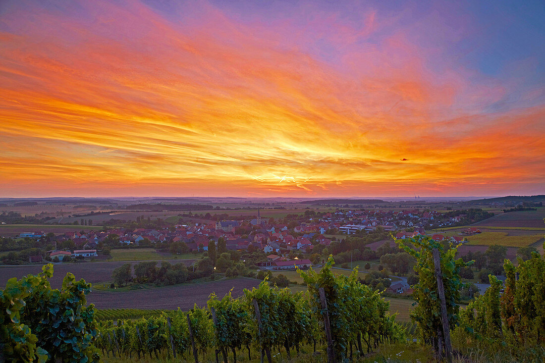 Blick vom Herrenberg über Weinberge auf Oberschwarzach, Sonnenuntergang, Unterfranken, Bayern, Deutschland, Europa