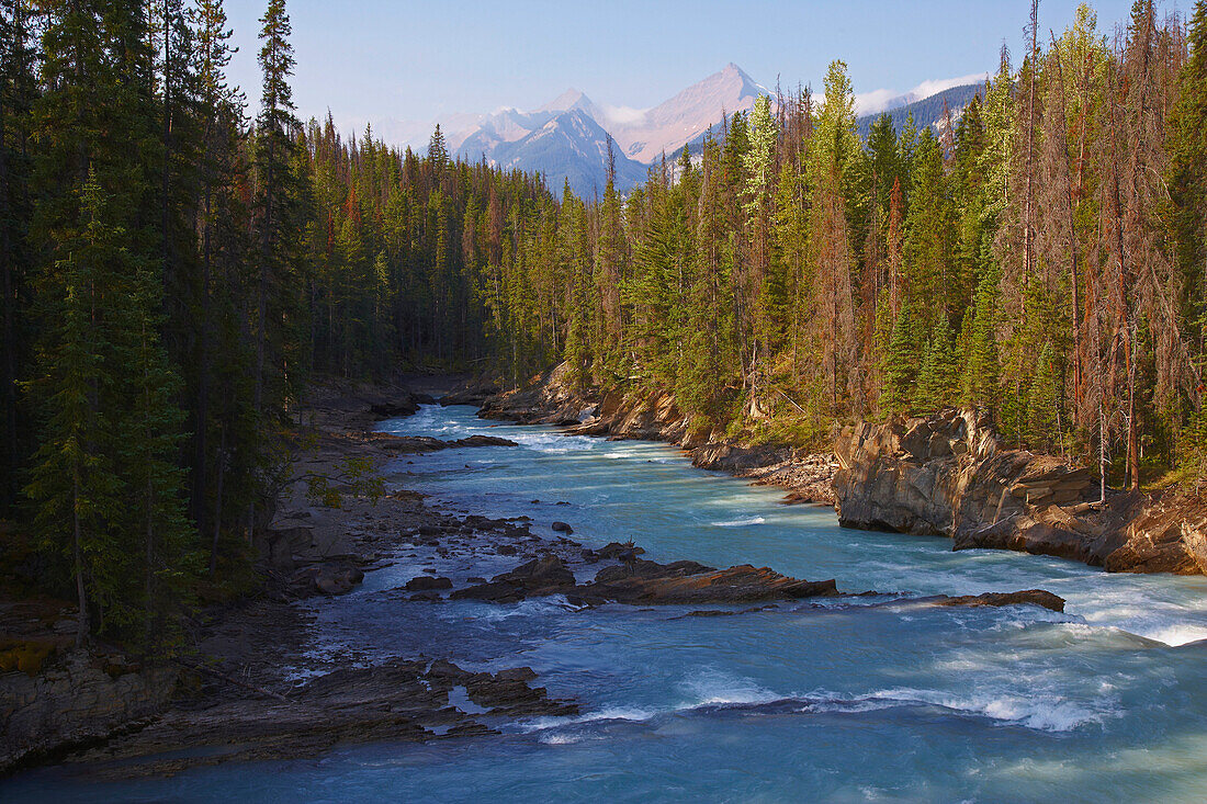 Kicking Horse River, Yoho National Park, Rocky Mountains, British Columbia, Kanada