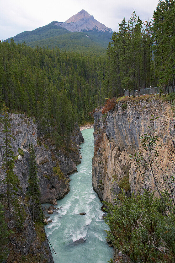 Sunwapta Falls, Sunwapta River, Jasper National Park, Rocky Mountains, Alberta, Canada