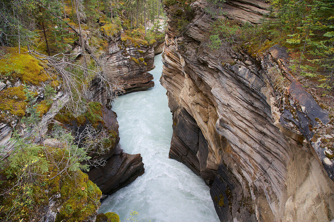 Athabasca Falls, Athabasca River, Jasper National Park, Rocky Mountains, Alberta, Kanada