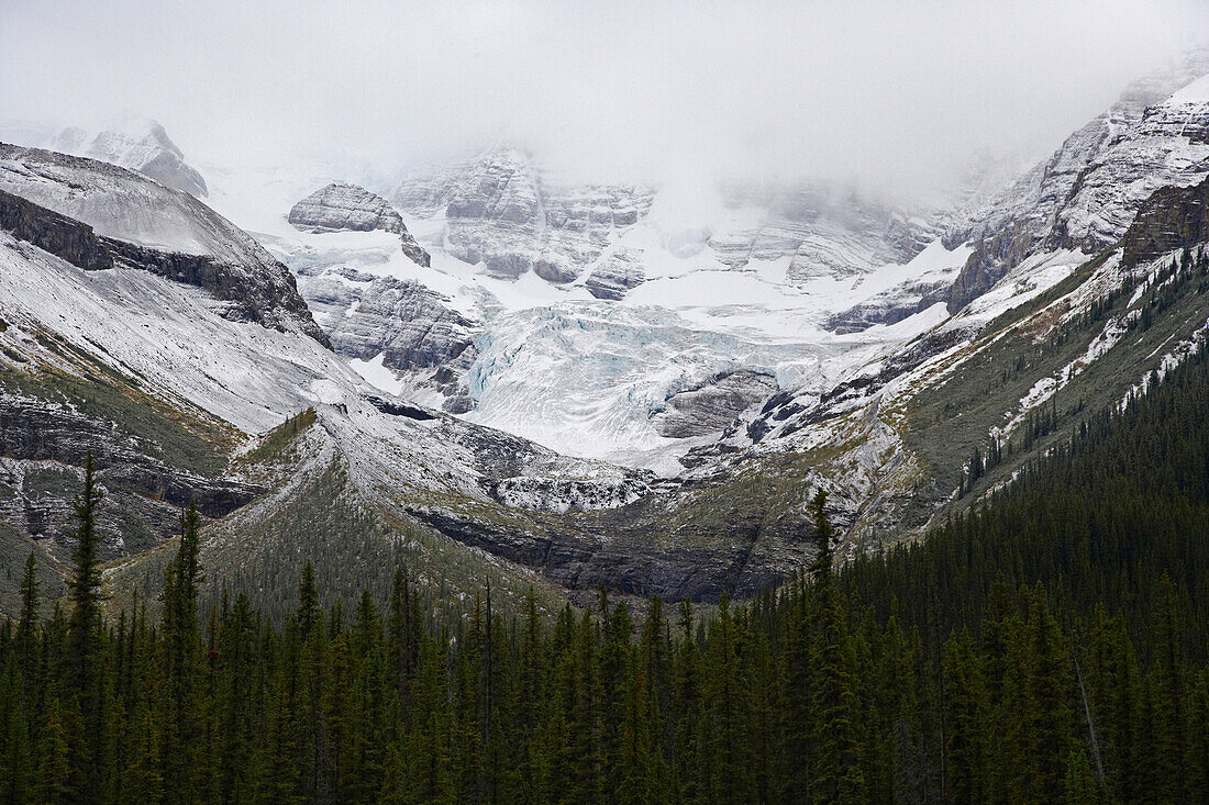 Neuschnee am Maligne Lake, Jasper National Park, Rocky Mountains, Alberta, Kanada